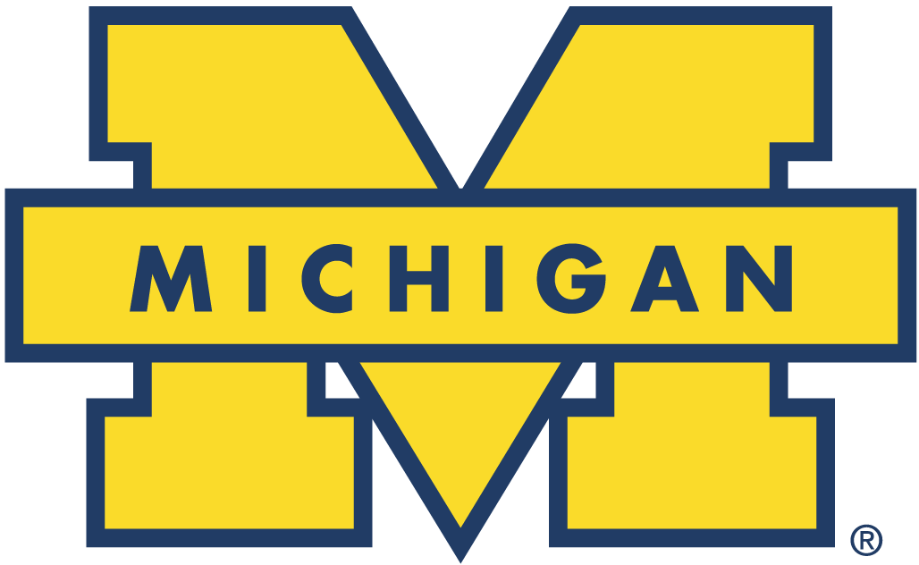 Michigan Wolverines 1996-Pres Secondary Logo iron on transfers for T-shirts